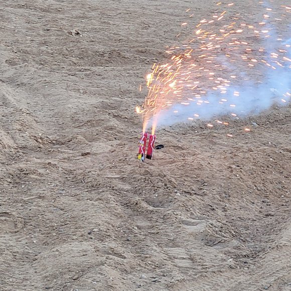 Meet your Posher, Roxie - Picture 8 of 10